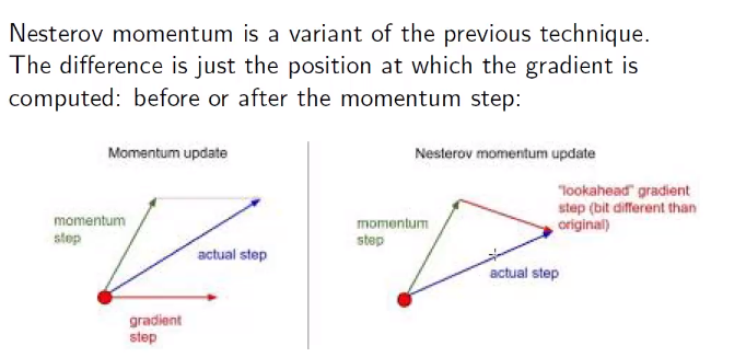 image/universita/ex-notion/Training a NN/Untitled 1